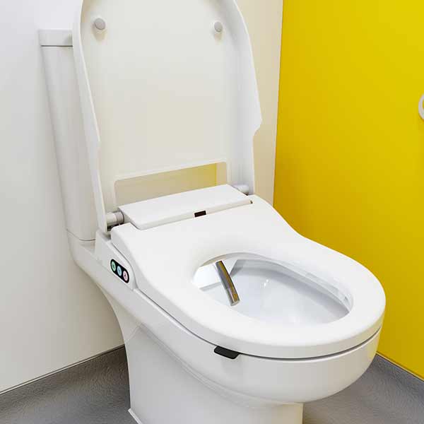 Wash dry toilet for disability bathroom